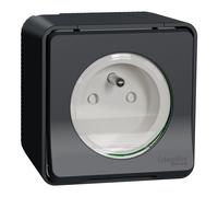 Prise de courant à vis 2P+T IP55 IK08 - Saillie - Gris - Mureva Styl