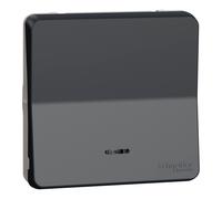 Mureva Styl - Va et vient lumineux LED - composable -IP55-IK08 -connex auto-gris - SCHNEIDER ELECTRIC - MUR35025