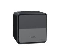 Mureva Styl Va et vient lumineuxLED saillie IP55 IK08 connex auto gris SCHNEIDER