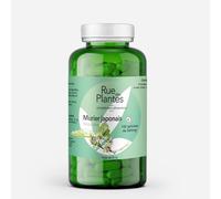 Murier Japonais 120 gélules - Maintien de l'équilibre du métabolisme glucidique - Cure de 20 jours - Fabriqué en France par RUE DES PLANTES