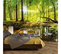 murimage Papier Peint Forêt 3D 366 x 254 cm Colle Inclus Photo Mural Bois Arbres lumière du Soleil étang Wallpaper