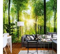 murimage Papier Peint Forêt 3D 366cm x 254cm Colle Inclus Photo Mural Bois Arbres Soleil Bureau Wallpaper