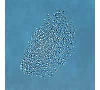 Murmuration & Mosaic Special Edition