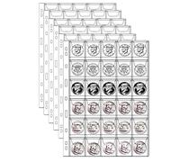MUROAD Feuilles pour Pièces de Monnaie, 30 Pochettes par Page, Page pour Classeur de Monnaie, pour Pièces Euros et Commémoratives,10 Feuilles