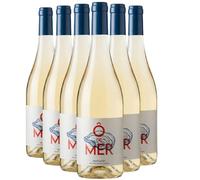 Muscadet Ô de Mer - Blanc 2023 - Les Eclaireurs - Vin Blanc du Val de Loire (6x75cl)