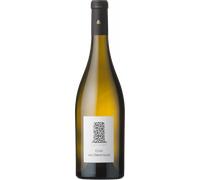 Muscadet Sèvre et Maine 2025 - Clos des Orfeuilles