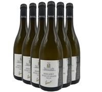 Muscadet Sèvre et Maine sur lie Templiers "Granite" - Blanc 2024 - Vignoble Drouard - Vin Blanc du Val de Loire (6x75cl)