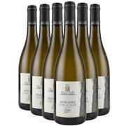 Muscadet Sèvre et Maine sur lie Trianon "Chêne" - Blanc 2025 - Vignoble Drouard - Vin Blanc du Val de Loire (6x75cl)