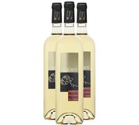 Muscat de Beaumes-de-Venise Vin Doux Naturel - Blanc 2024 - Domaine de la Pigeade - Vin Blanc de la Vallée du Rhône (3x75cl) Moelleux