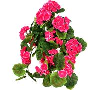 Muscat surplombant rose en pot céramique 50×35 cm