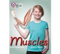 Muscles by Anna Claybourne Paperback Book Anna Claybourne (Auteur)
