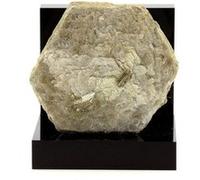 MUSCOVITE - Pierre Naturelle en Provenance du Brésil, Galiléia, Minas Gerais - Cristal Multicolore, Lithothérapie, Protection Énergétique 196.1 ct - Certificat d'Authenticité Inclus 50 x 48 x 17 mm Mu