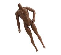 Muscular Corps de poupée masculine de 30,5 cm, 13 articulations articulées, figurine masculine réaliste pour affichage d'action, projet artistique, muscle articulé pour figurines d'action