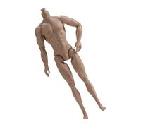 Muscular Corps de poupée masculine de 30,5 cm, 13 articulations articulées, figurine masculine réaliste pour affichage d'action, projet artistique, muscle articulé pour figurines d'action