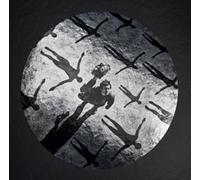 Muse - Absolution: XX Anniversary (Limited Edition) (Silver & Clear Coloured) (3 LP + 2 CD)