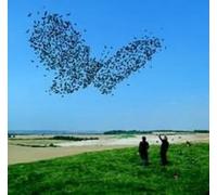 muse - Butterflies & Hurricanes
