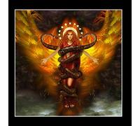 Muse of Fire