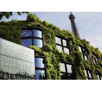 Musée du Quai Branly Billet d entrée à Paris