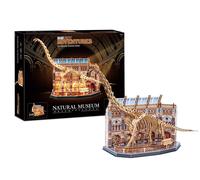 Musée Naturel Squelette de Brachiosaure