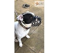 Muselière en cuir véritable pour Staffordshire Bull Terrier Staffy, Staffie (S2, Noir)