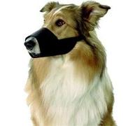 Muselière en nylon noir taille s - jack russel westie Noir G