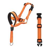 Muselière en nylon pour chien Staffordshire avec sangle réglable et confortable - Sangle en nylon réfléchissante haut de gamme pour le toilettage des petits chiens