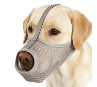 Muselière en pour chien Cache-gueule en réfléchissante pour animal