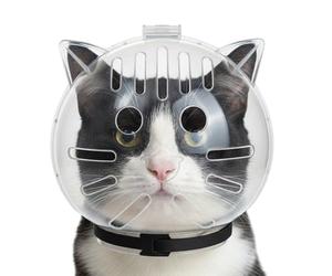 Muselière pour chat pour couper les ongles - Harnais en nylon pour tête de chat, fermeture à boucle portable, muselière robuste et confortable | Outil de manipulation facile avec contrôle doux pour