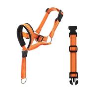 Muselière pour chien avec sangle en nylon réfléchissante - Protège-dents sécurisé pour races de taille moyenne et grande - Ajustement confortable - Empêche de mordre et de manger des articles nocifs