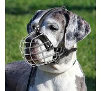Muselière pour Chien en Métal avec Sangles en Cuir, Pitbull, Dogue Allemand, Rottweiler, Panier en Fil de Fer Sécurisé, Respirant, Ajustable pour Les Grands Chiens (Argent)