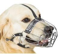 Muselière pour Chien en métal chromé avec Sangles réglables en Cuir (№6) Circonférence de 33 à 35,1 cm, Longueur de 9,9 à 10,9 cm - Muselière pour Labrador Retriever