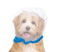 Muselière pour chiens - Protection en avec ajustement | Muselière anti-charognage pour petits chiens | pour promenade quotidienne, parc, jeu, randonnée et espace public avec des animaux de