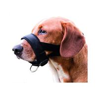 Muselière sangle taille L-XL pour chien Bouvier Bernois, Golden Retriever.