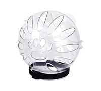 Muselière transparente réglable respirante pour chaton astronaute coiffe chat bulle pour couper