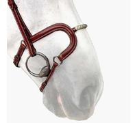 Muserolle cheval corde Silver Crown H Marron Full