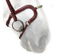 Muserolle cheval corde Silver Crown H Marron Full