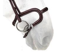 Muserolle cheval cuir plat Silver Crown H Classique Marron Full