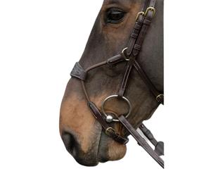 Muserolle cheval Dy'on Hybride Marron Cob