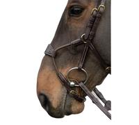 Muserolle cheval Dy'on Hybride Marron OVER