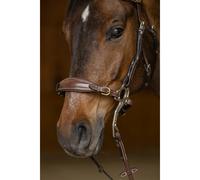 Muserolle cheval et gourmette HFI Hackamore Marron Full