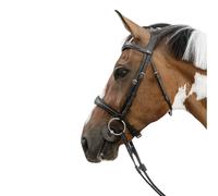 Muserolle cheval sans sous barbe anatomique Dy'on Noir OVER