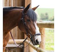 Muserolle croisée pour cheval allemande Jump'In Evolution Origin Marron Cob