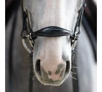 Muserolle croisée pour cheval allemande Jump'In Evolution Origin Noir Cob