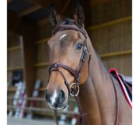 Muserolle croisée pour cheval Jump'In Evolution Origin Marron Cob