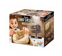 Museum Dino Skull Crane De T Rex