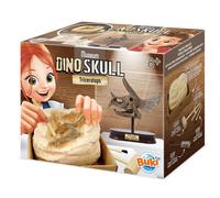 Museum Dino Skull Museum Dino Skull - Tricératops