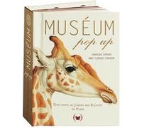 Muséum pop up Anne-Florence Lemasson (Auteur), Dominique Ehrhard (Auteur)