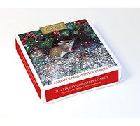 Museums & Galleries - Boîte de 20 cartes de Noël artistiques caritatives « Animals and Winter Berries », 5 de chacun des 4 motifs