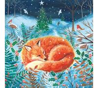 Museums & Galleries British Heart Foundation Lot de 8 cartes de Noël caritatives Motif renard endormi dans la neige