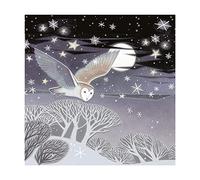 Museums & Galleries Lot de 8 cartes de Noël artistiques caritatives - « Moonlit Flight » - 8 cartes de 1 motif